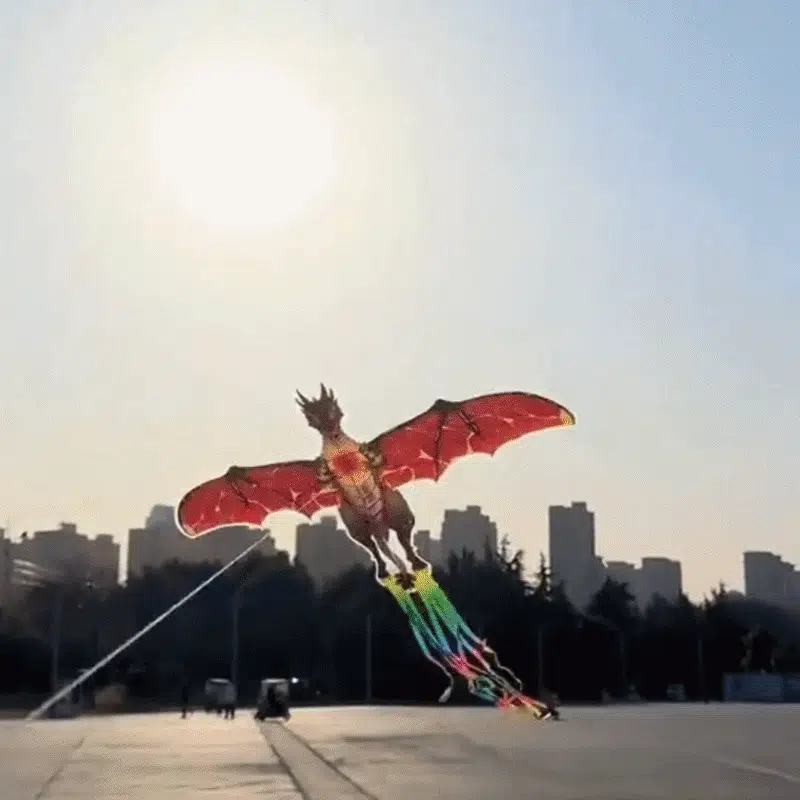 Winged Kite in Action